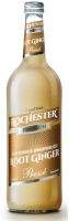 Isjungta21_Rochester Premium Root Ginger gazuotas gėrimas, 750 ml 